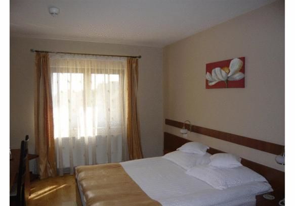 Отель Hotel Crisana Arad Арад-45
