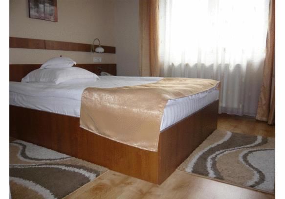 Отель Hotel Crisana Arad Арад-48