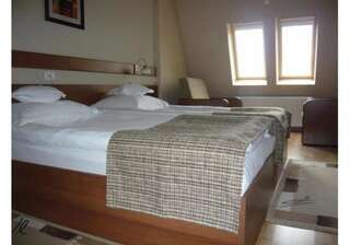 Отель Hotel Crisana Arad Арад Двухместный номер с 2 отдельными кроватями-7