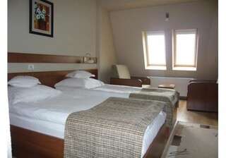 Отель Hotel Crisana Arad Арад Двухместный номер с 2 отдельными кроватями-8