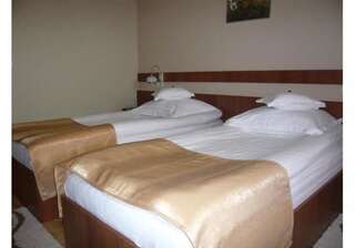 Отель Hotel Crisana Arad Арад Двухместный номер с 2 отдельными кроватями-10