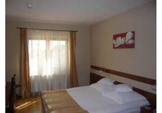 Отель Hotel Crisana Arad Арад Двухместный номер с 1 кроватью размера "queen-size"-6