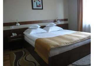 Отель Hotel Crisana Arad Арад Двухместный номер с 1 кроватью размера "queen-size"-9